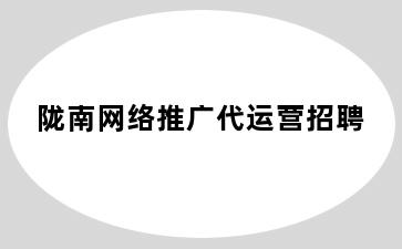 陇南网络推广代运营招聘