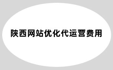 陕西网站优化代运营费用