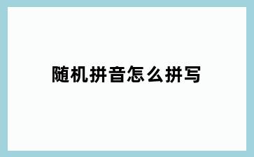 随机拼音怎么拼写