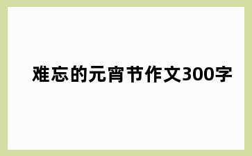 难忘的元宵节作文300字