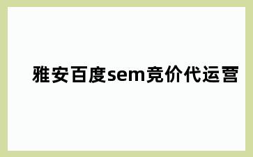 雅安百度sem竞价代运营