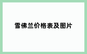 雪佛兰价格表及图片