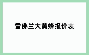 雪佛兰大黄蜂报价表