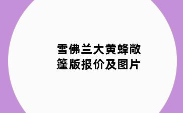 雪佛兰大黄蜂敞篷版报价及图片