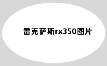 雷克萨斯rx350图片