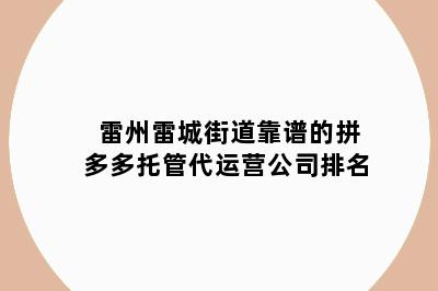 雷州雷城街道靠谱的拼多多托管代运营公司排名