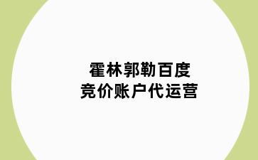 霍林郭勒百度竞价账户代运营