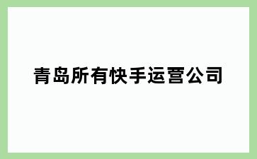 青岛所有快手运营公司