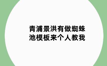 青浦景洪有做蜘蛛池模板来个人教我