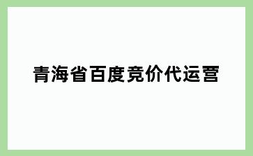 青海省百度竞价代运营