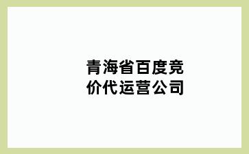 青海省百度竞价代运营公司