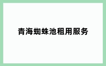 青海蜘蛛池租用服务