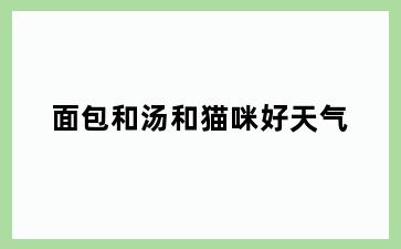 面包和汤和猫咪好天气