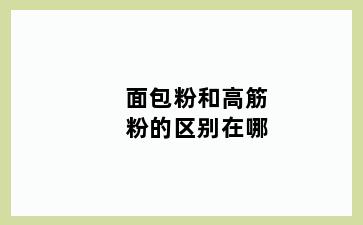 面包粉和高筋粉的区别在哪