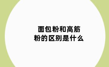 面包粉和高筋粉的区别是什么