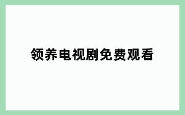 领养电视剧免费观看