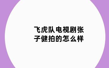 飞虎队电视剧张子健拍的怎么样