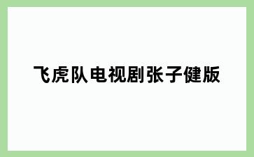 飞虎队电视剧张子健版