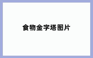 食物金字塔图片