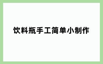 饮料瓶手工简单小制作