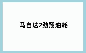 马自达2劲翔油耗