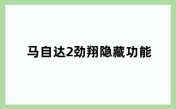马自达2劲翔隐藏功能