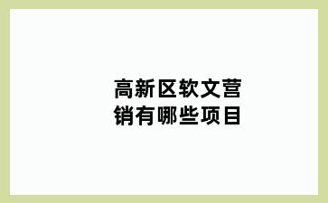 高新区软文营销有哪些项目