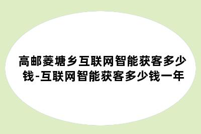 高邮菱塘乡互联网智能获客多少钱-互联网智能获客多少钱一年
