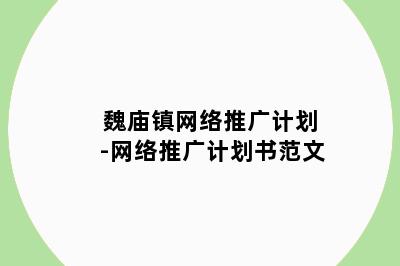 魏庙镇网络推广计划-网络推广计划书范文