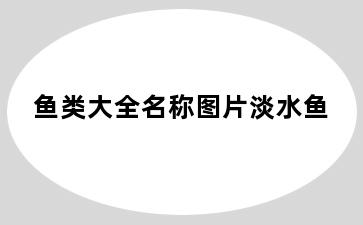 鱼类大全名称图片淡水鱼