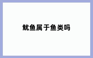 鱿鱼属于鱼类吗