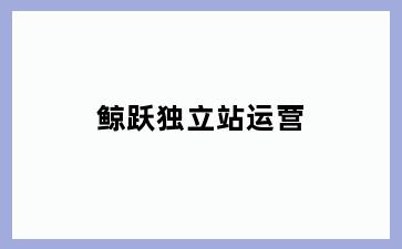 鲸跃独立站运营