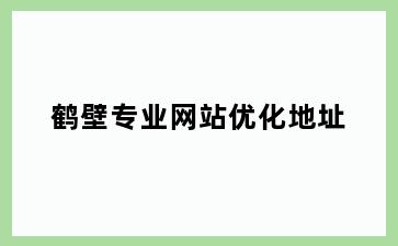 鹤壁专业网站优化地址