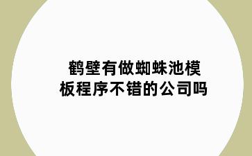 鹤壁有做蜘蛛池模板程序不错的公司吗
