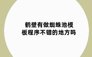 鹤壁有做蜘蛛池模板程序不错的地方吗
