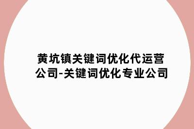 黄坑镇关键词优化代运营公司-关键词优化专业公司