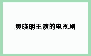 黄晓明主演的电视剧