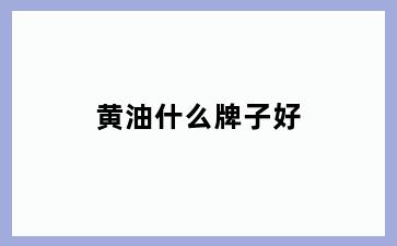 黄油什么牌子好
