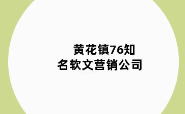 黄花镇76知名软文营销公司