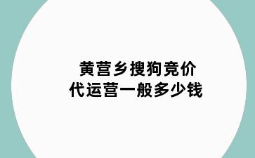 黄营乡搜狗竞价代运营一般多少钱