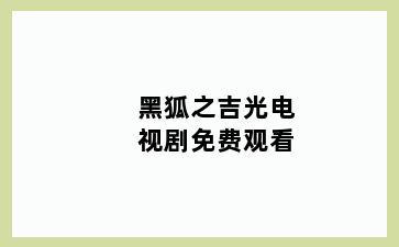 黑狐之吉光电视剧免费观看