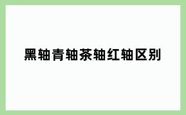 黑轴青轴茶轴红轴区别