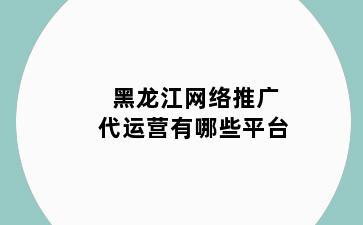 黑龙江网络推广代运营有哪些平台