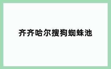 齐齐哈尔搜狗蜘蛛池