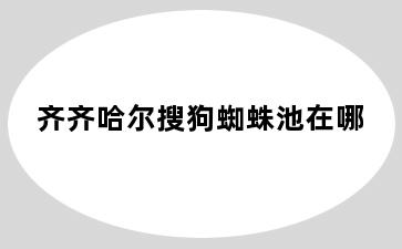 齐齐哈尔搜狗蜘蛛池在哪