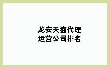 龙安天猫代理运营公司排名
