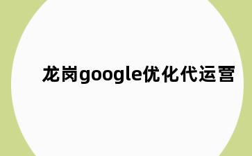 龙岗google优化代运营