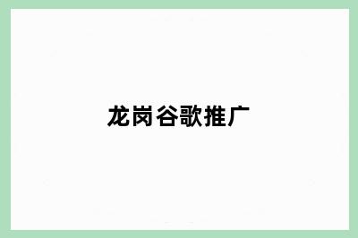 龙岗谷歌推广